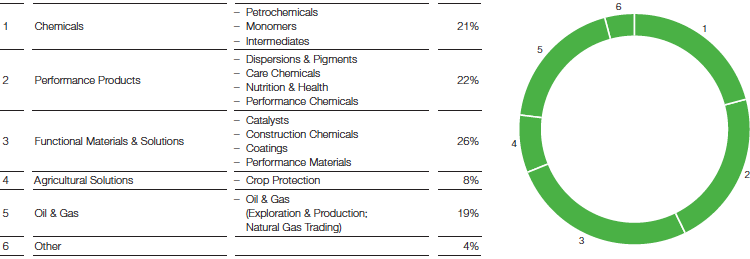 BASF structure – Percentage of total sales until December 31, 2015 (pie chart)