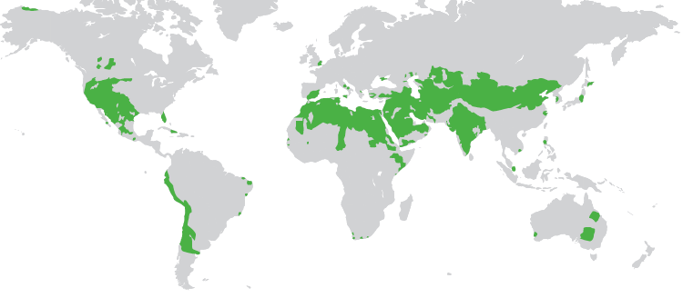 Water stress areas around the world (map)