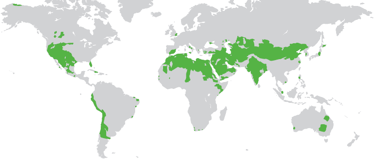 Water stress areas around the world (map)