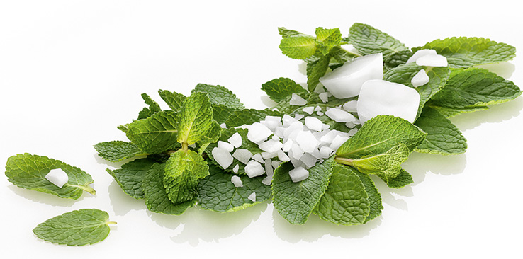Pure menthol crystalizes into a solid, colorless mass at room temperature and is naturally obtainable from corn mint. The flavor is also produced synthetically in order to meet rising global demand. (photo)